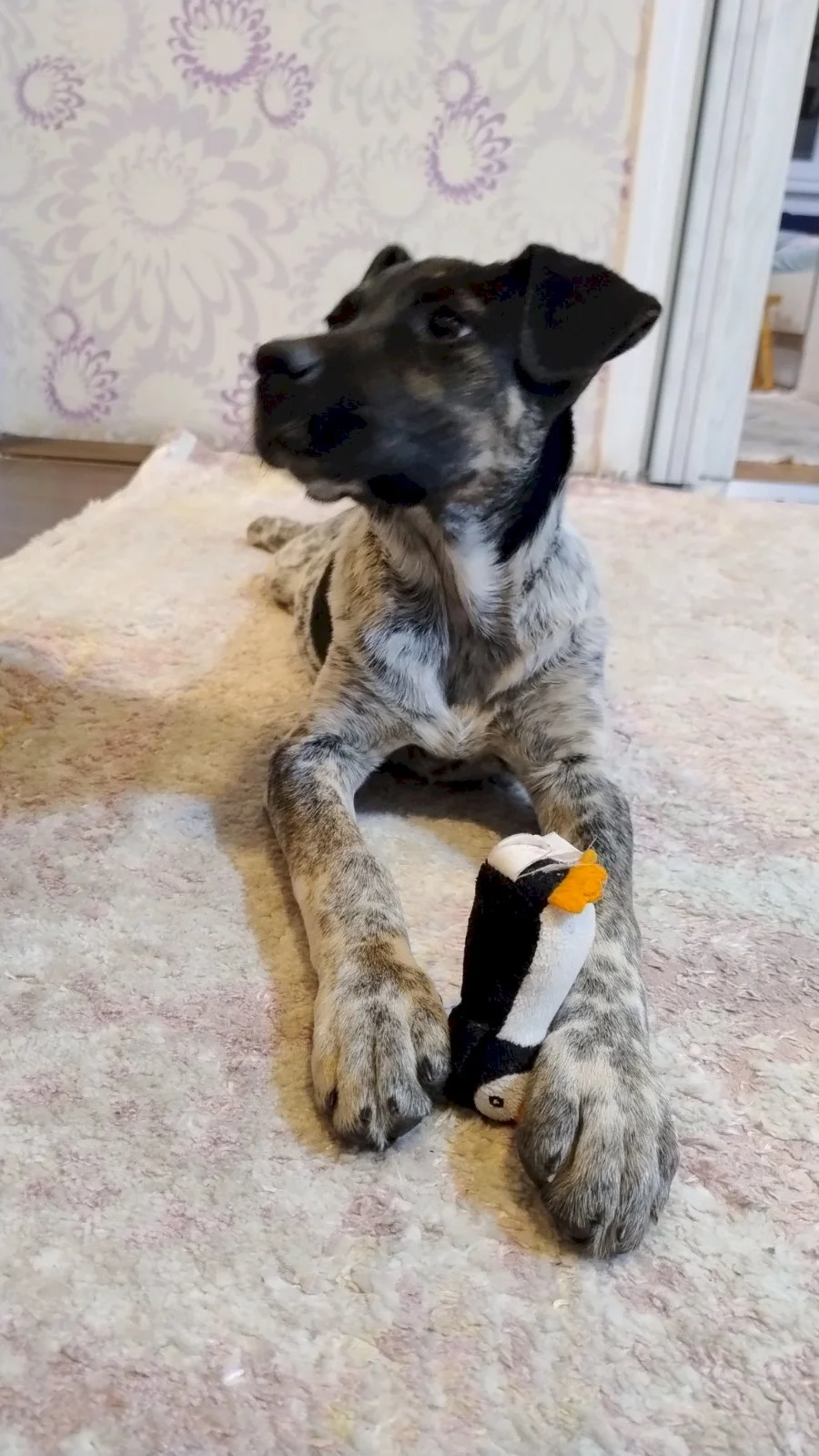 Kiki