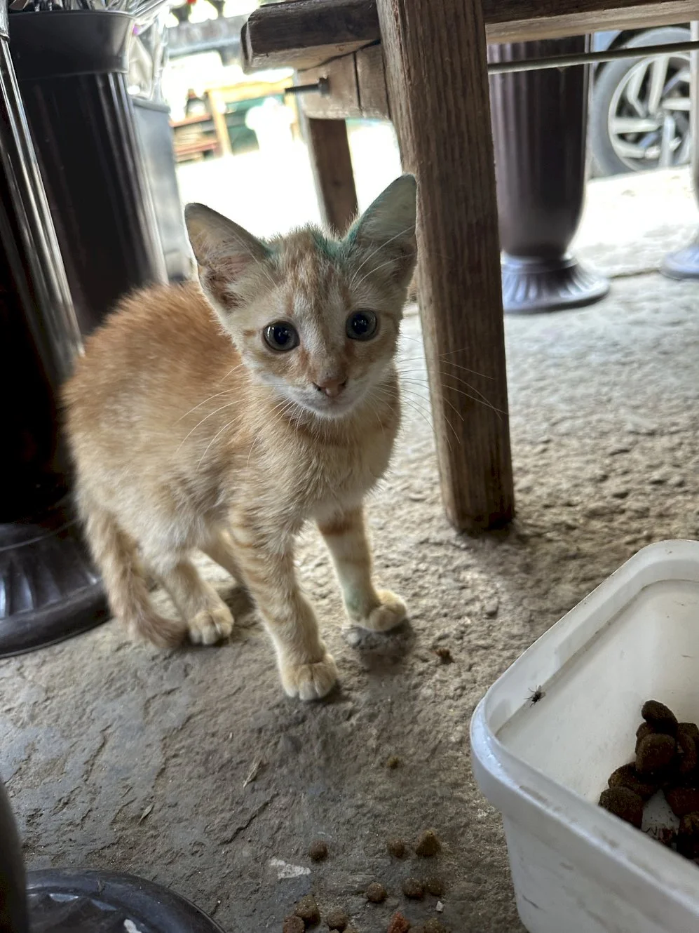 Žare — 1