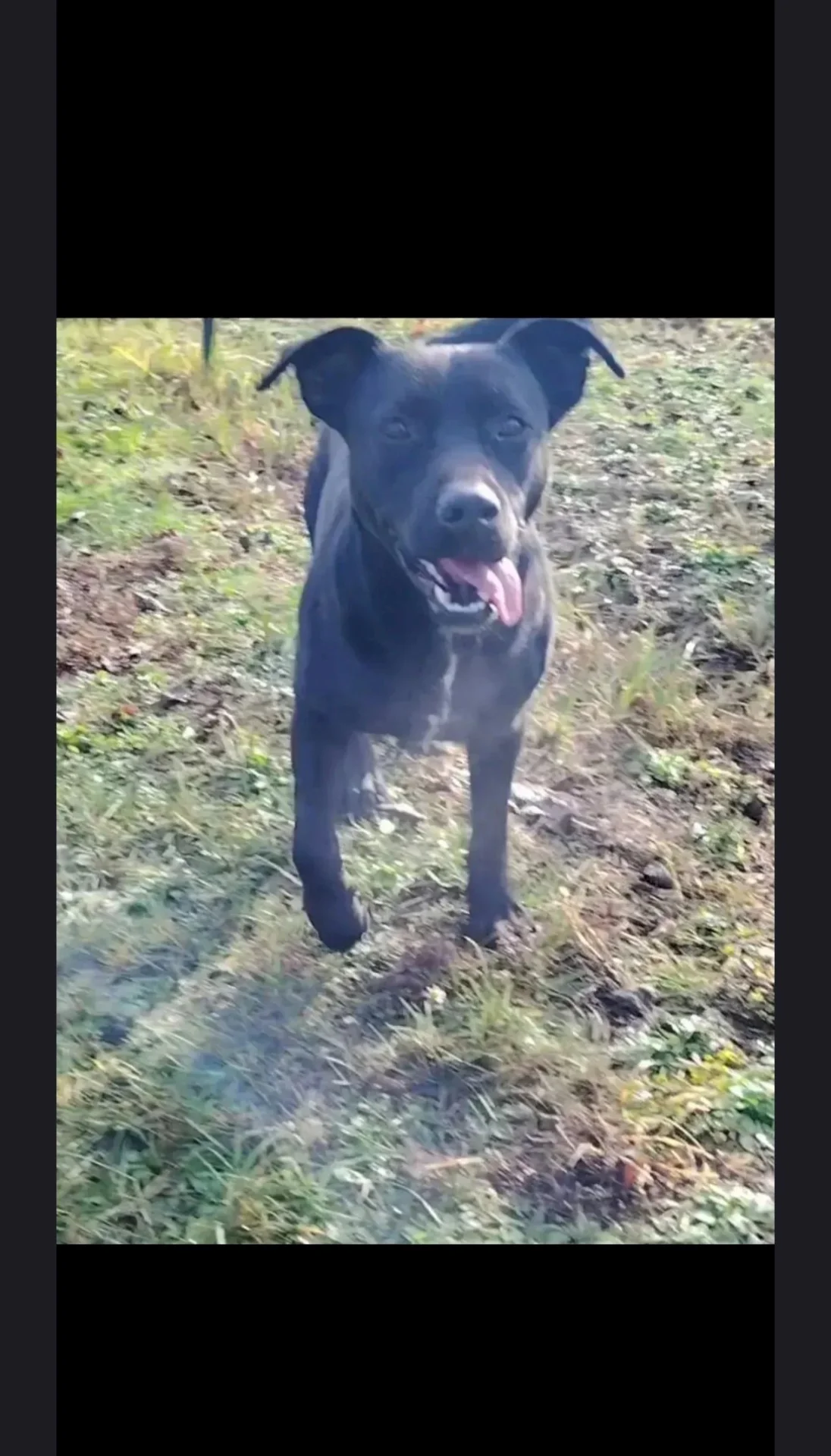 Nora