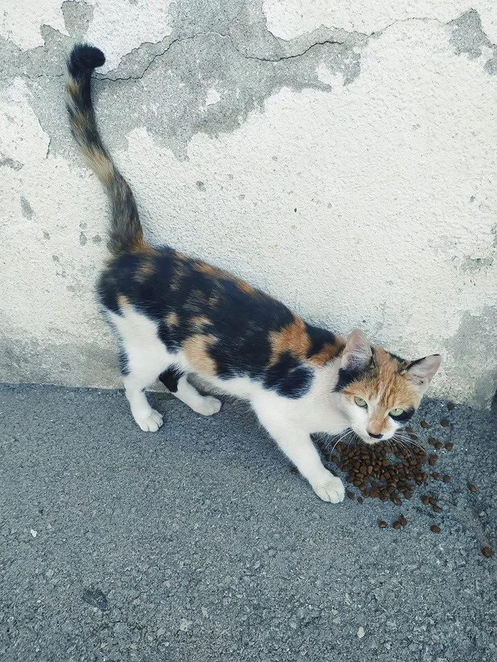 Una