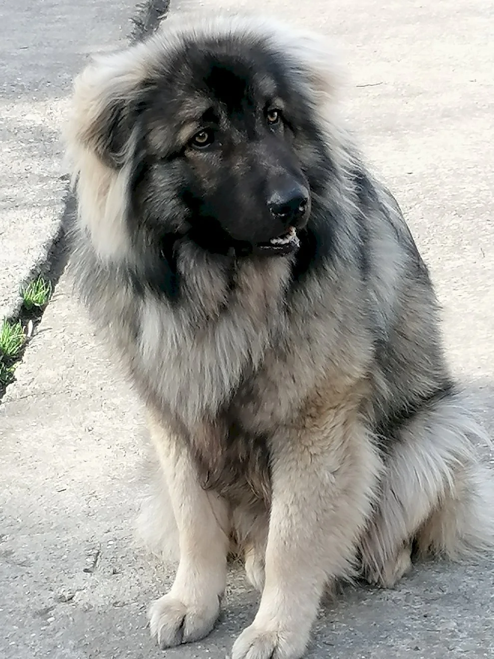 Mali