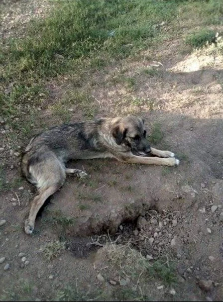 Бакса — 1
